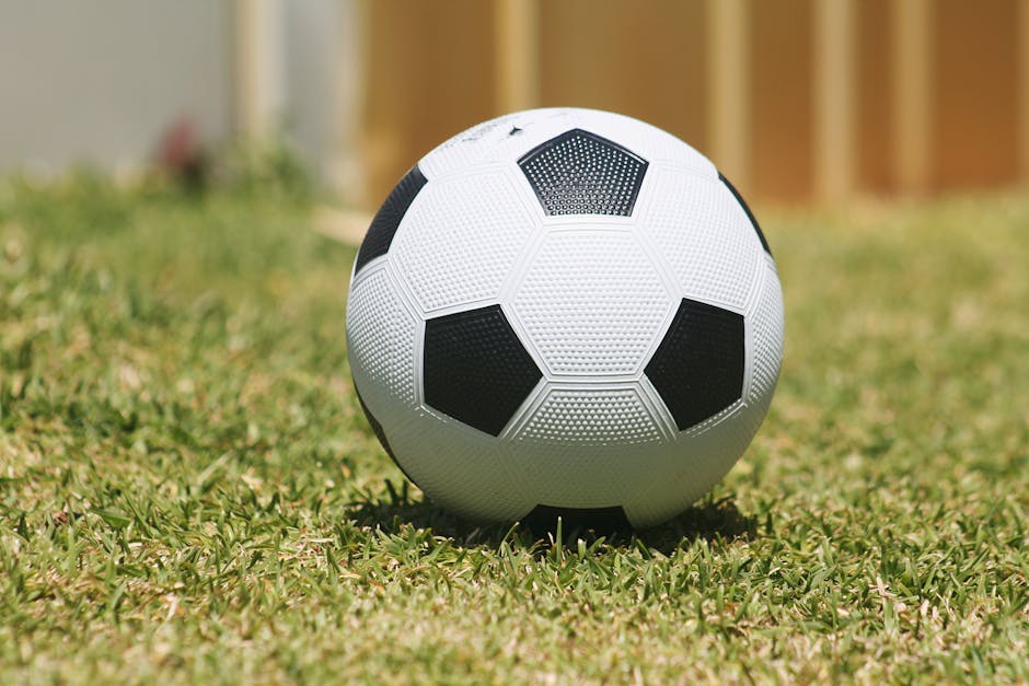 Đội tuyển Úc Socceroos World Cup 2026