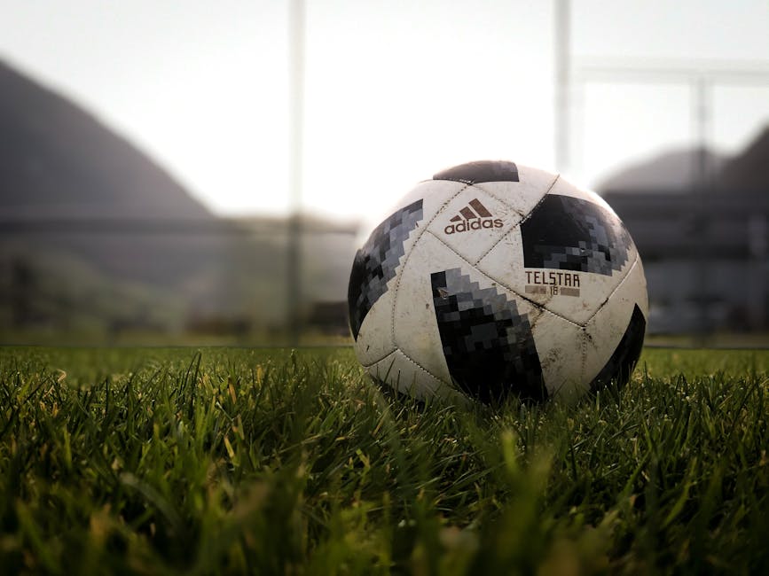 Close-up of an Adidas Telstar soccer ball on a grassy field at dusk in Switzerland.
